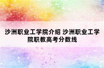 沙洲职业工学院介绍 沙洲职业工学院职教高考分数线